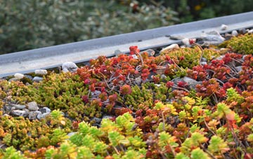 the cost of Witcham green roof installation