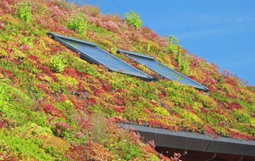 Witcham living roof systems