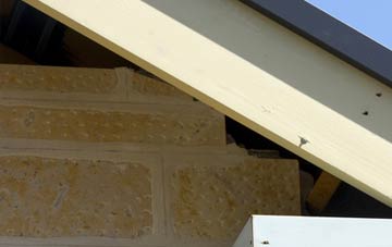 soffit repair Witcham